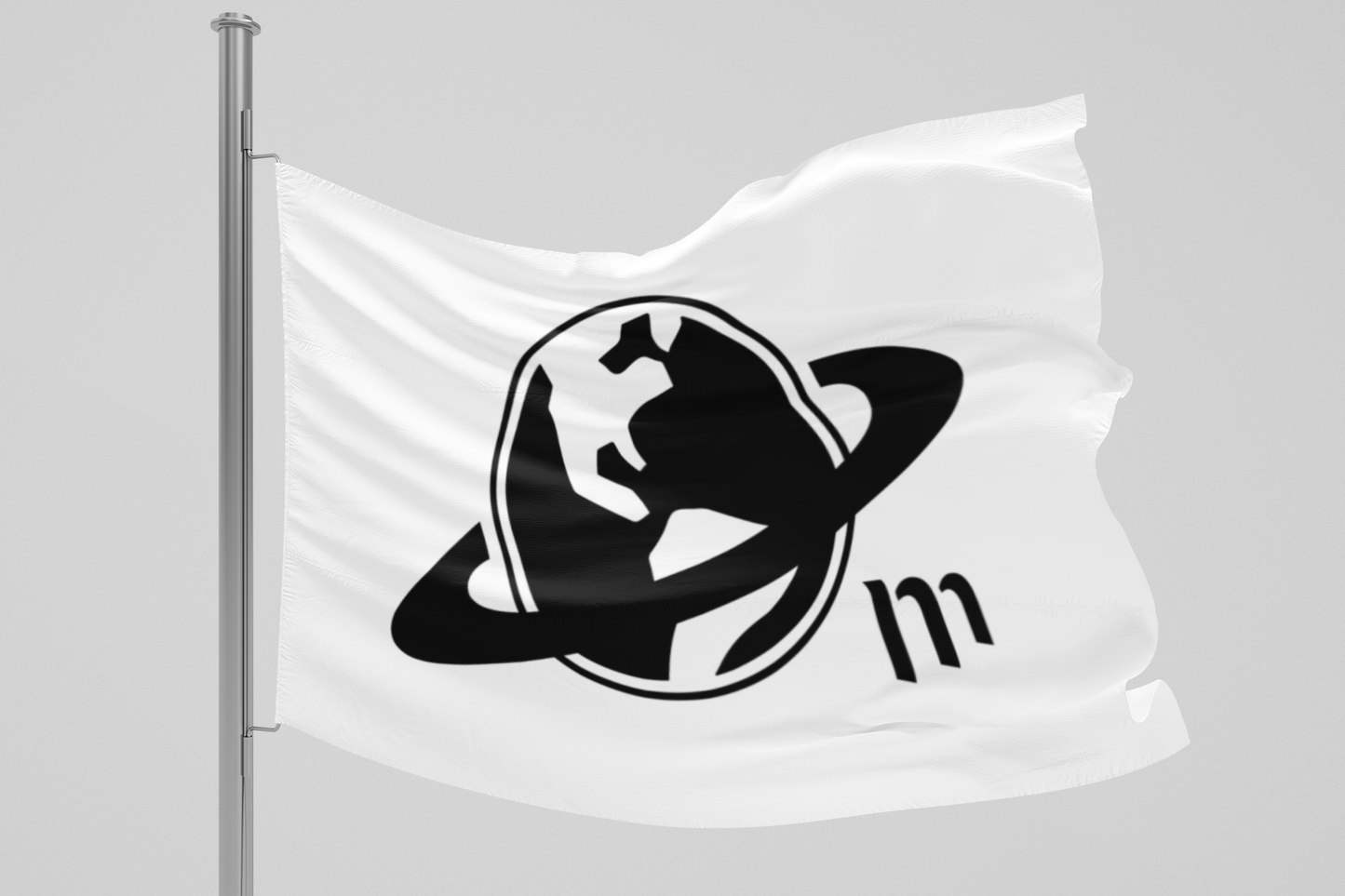 Bandera TODA LA TIERRA